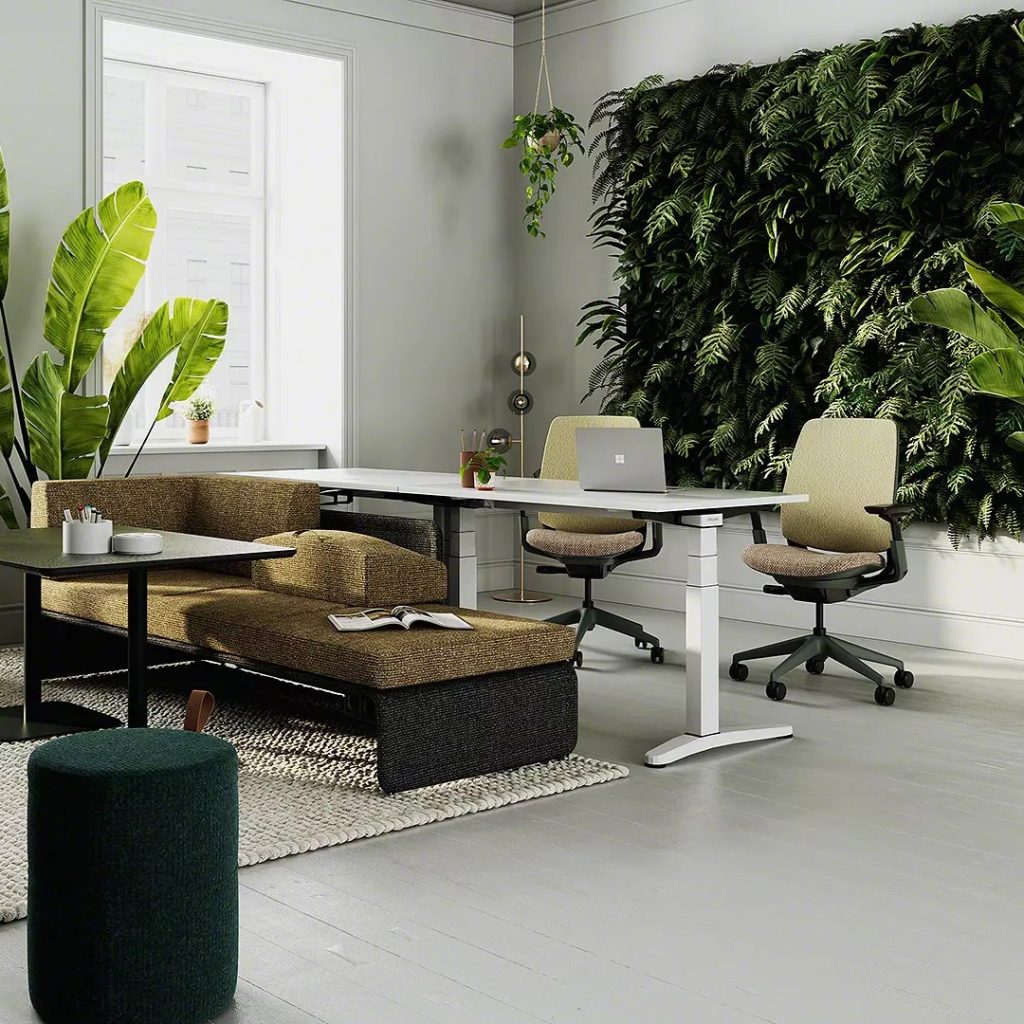 Ology bench