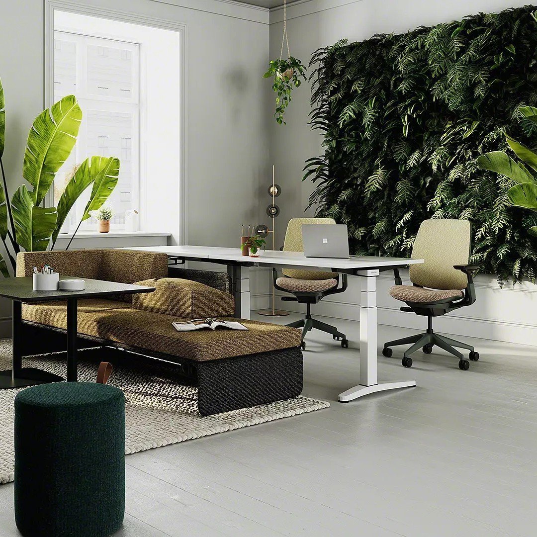 Ology bench